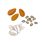 Nuts & Seed